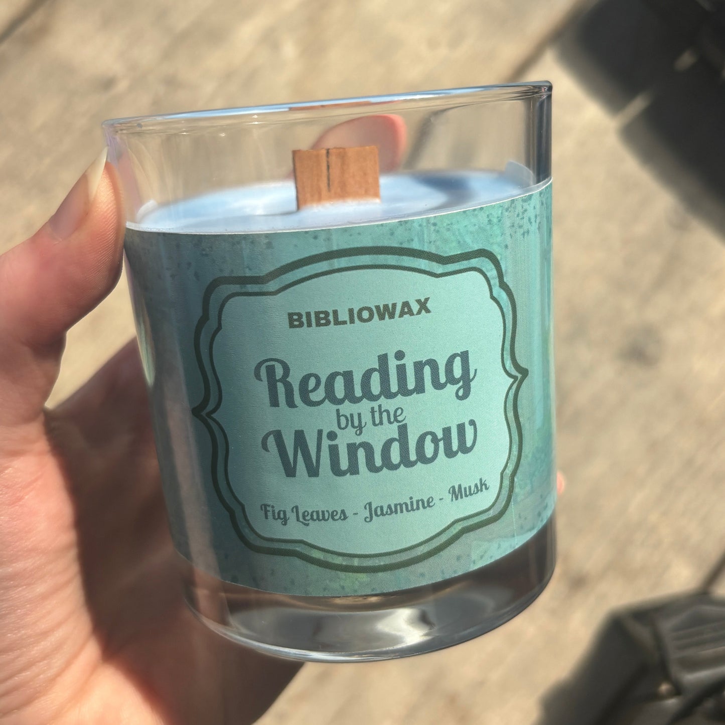 Reading by the Window